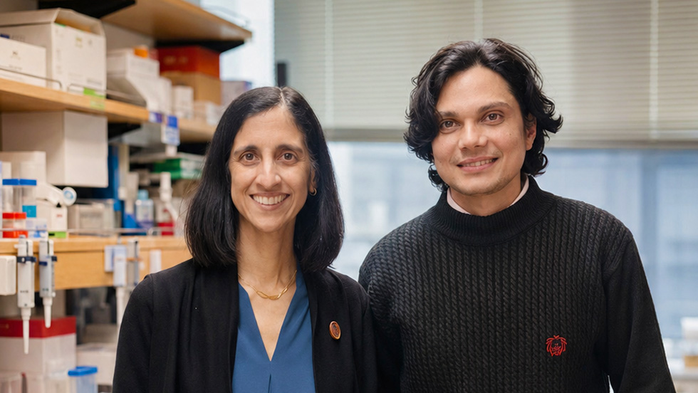 Tejal Desai and Bhushan N. Kharbikar