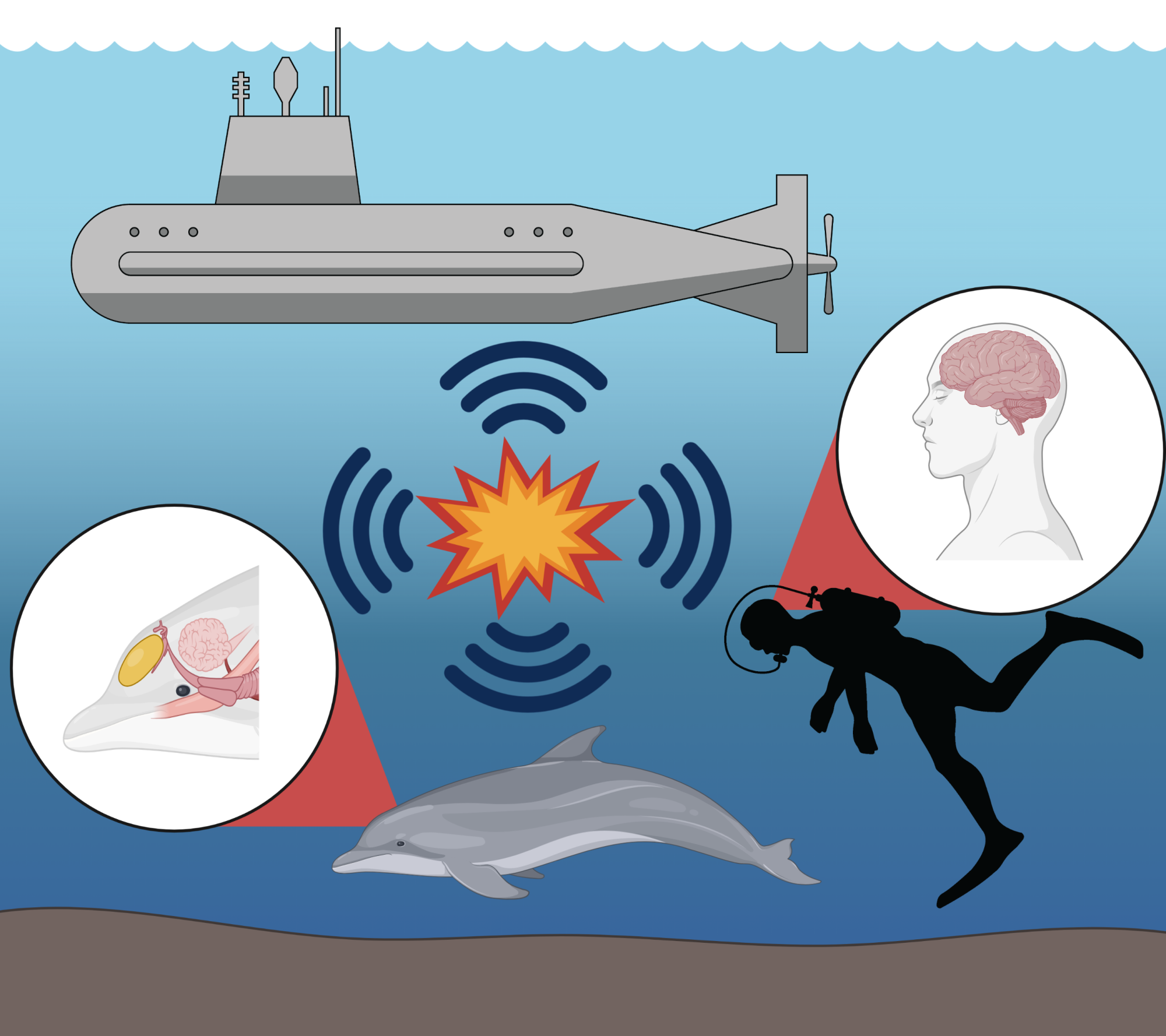 ONR underwater explosion