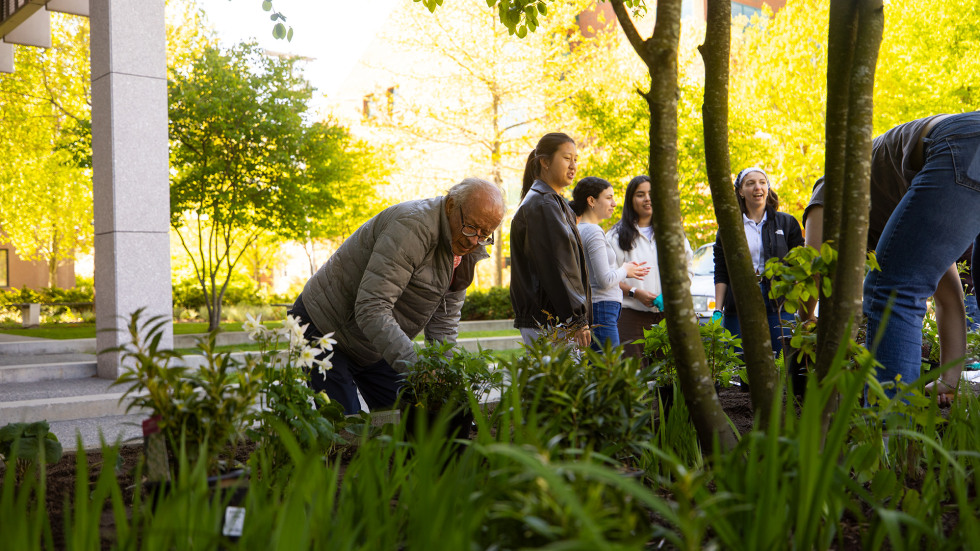 Professor Nurmikko planting in the garden