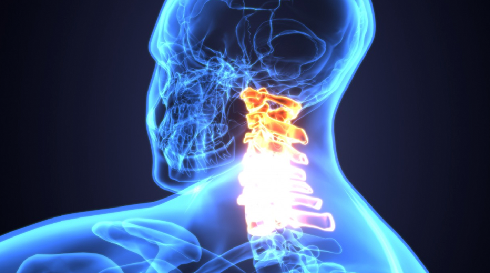Intelligent Spinal Interface