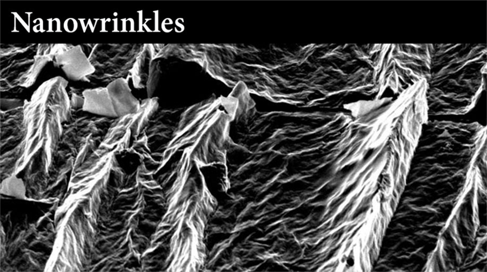 Nanowrinkles