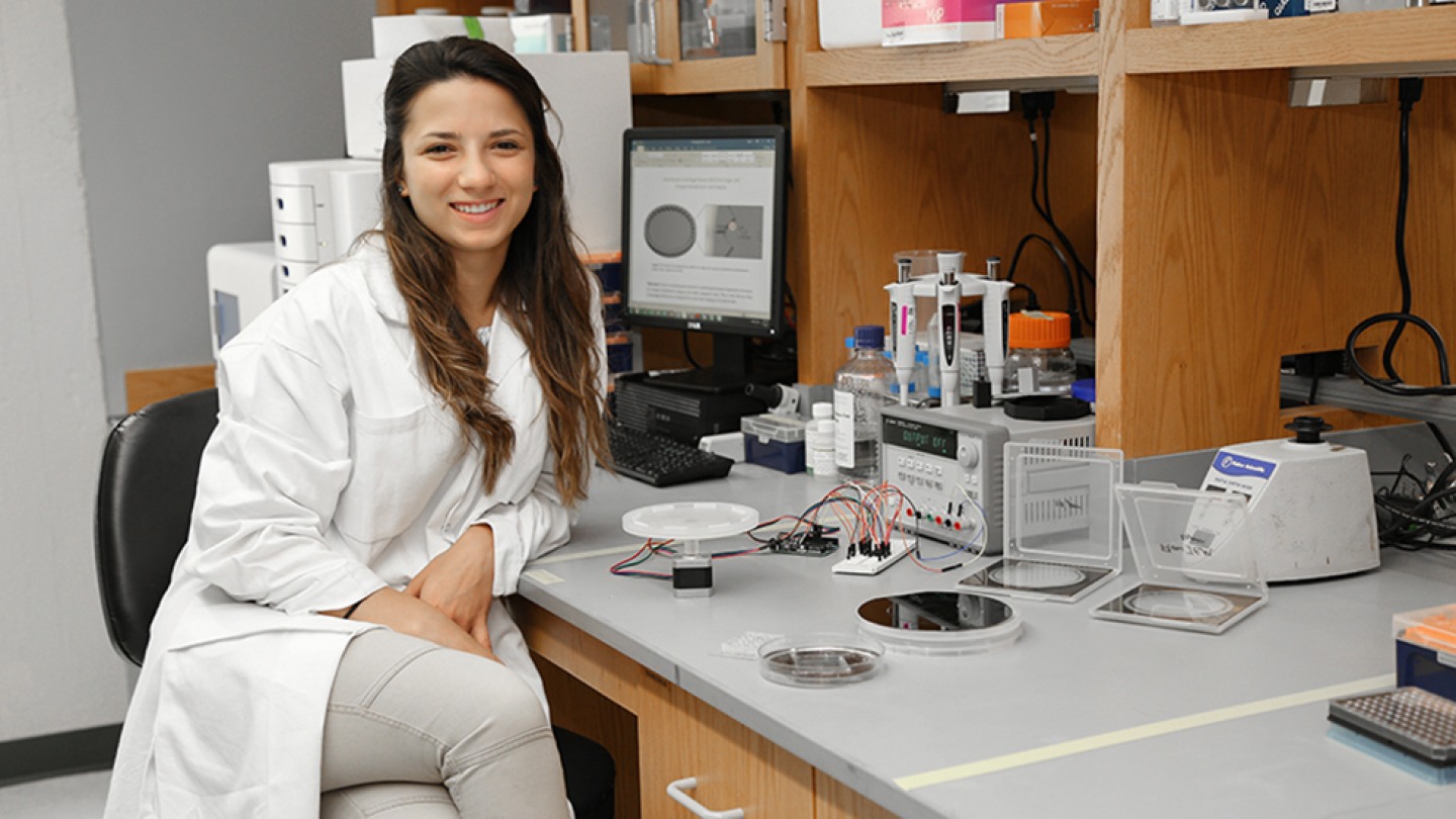 Brown university american studies dissertations image